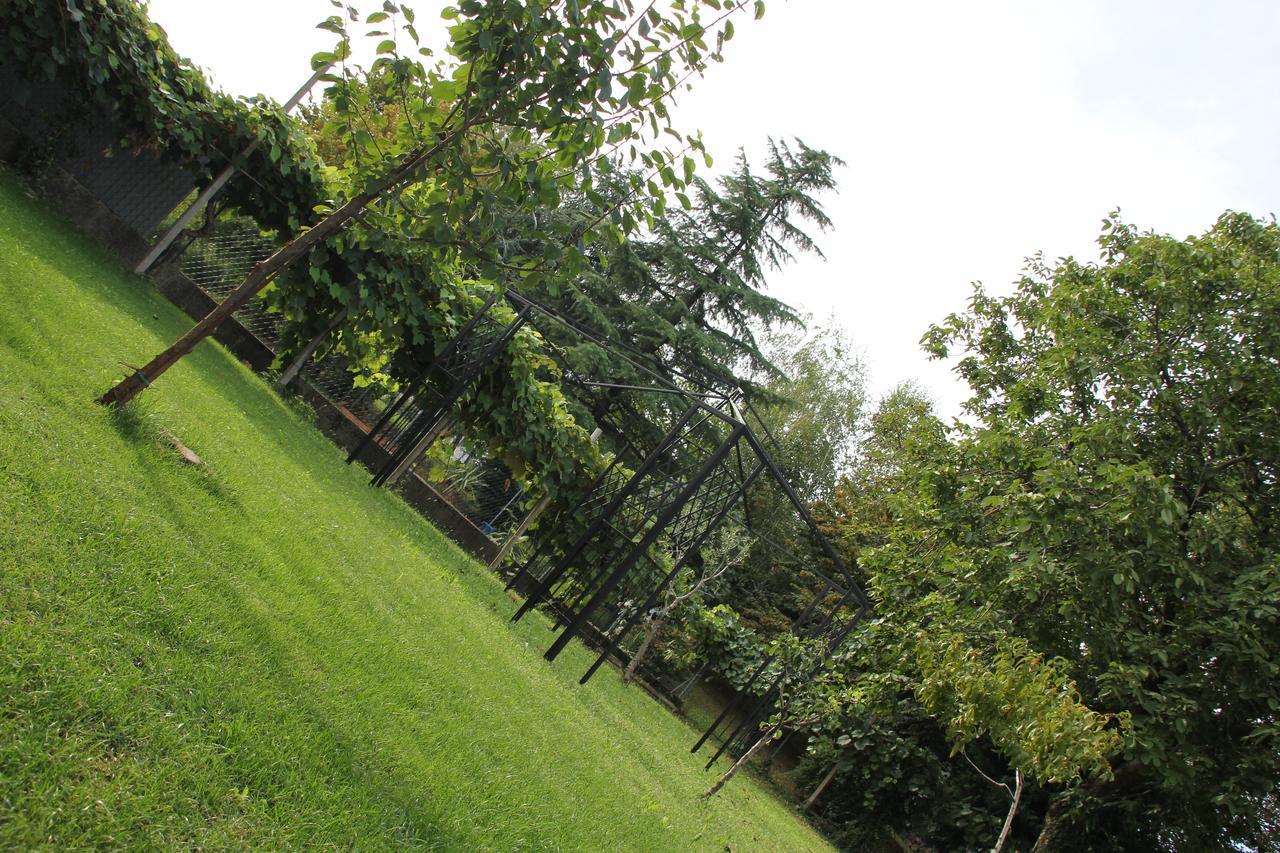 Casa Pellis Bed & Breakfast *